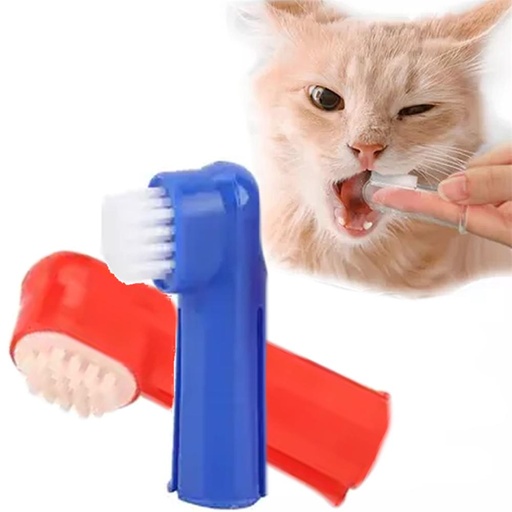 Cuidado dental